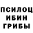 Псилоцибиновые грибы Cubensis Haziq Abubakr