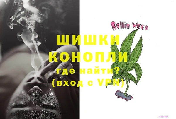 стаф Аркадак