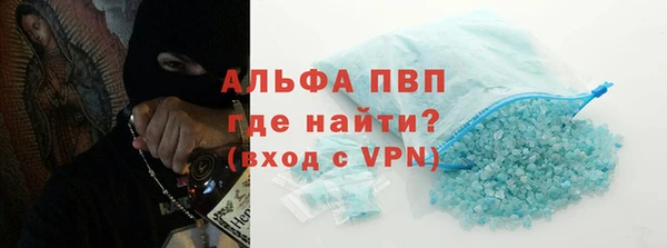 стаф Аркадак
