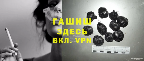 стаф Аркадак