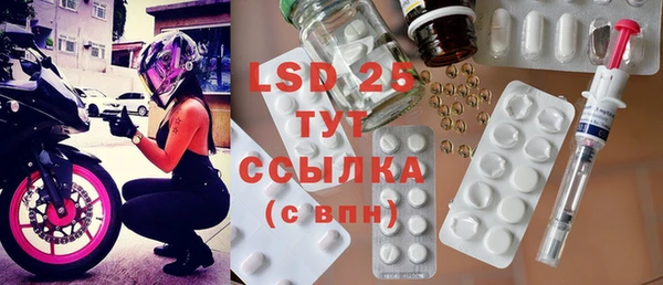 стаф Аркадак