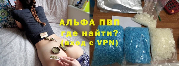 стаф Аркадак
