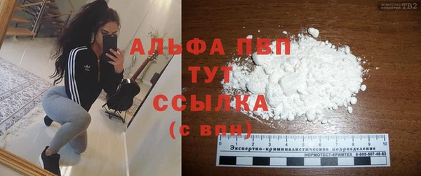 стаф Аркадак