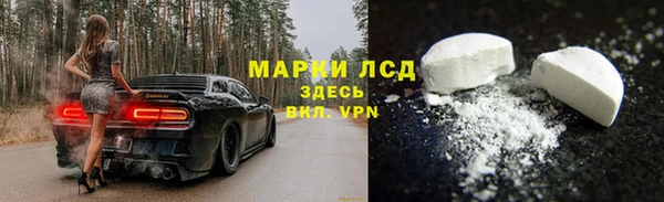 стаф Арсеньев