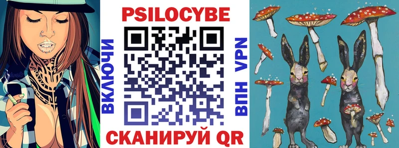 Псилоцибиновые грибы MAGIC MUSHROOMS  как найти   Пошехонье 